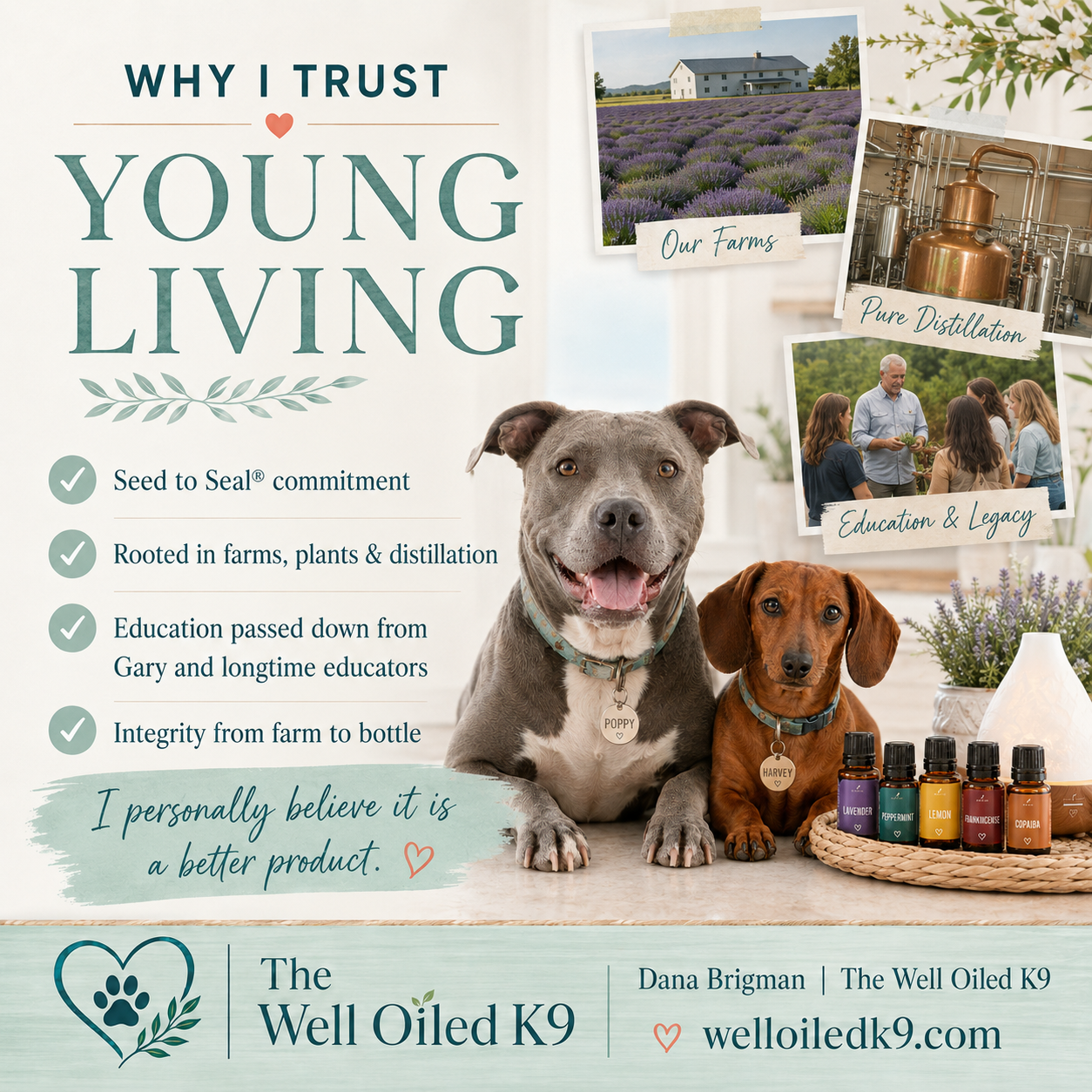 Why I Recommend Young Living for Dog Moms Who Want a Healthier Home