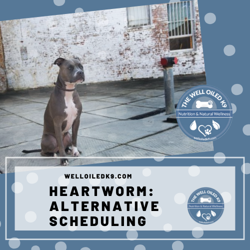 HeartWorm Alternative Scheduling