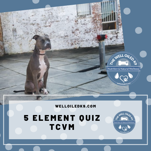 5 Element Theory Quiz