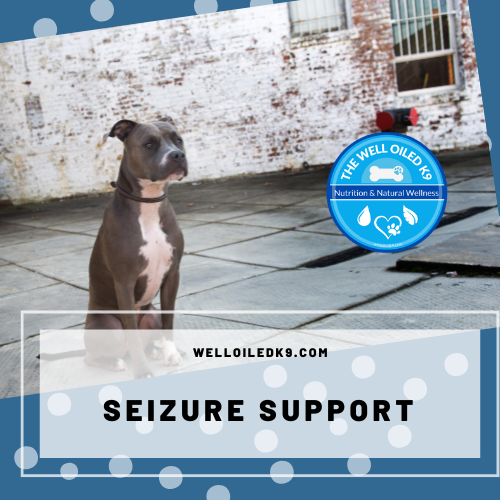 seizure support in dogs.png