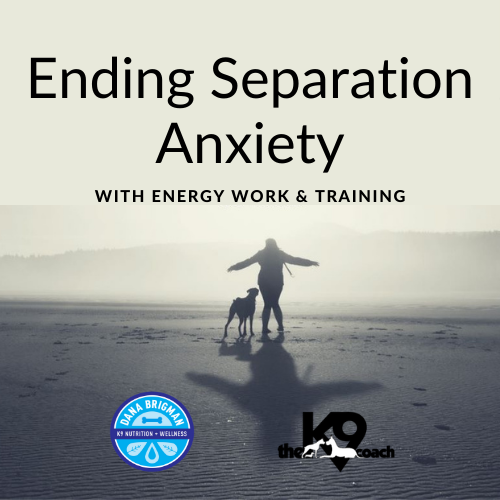Ending Separation Anxiety.png