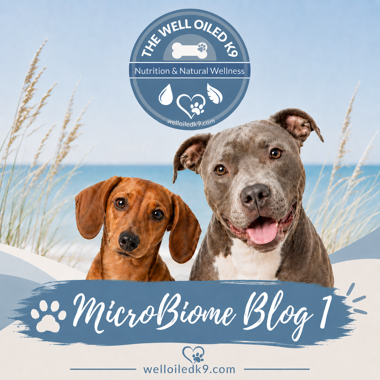 Dog Gut Health and the Microbiome
