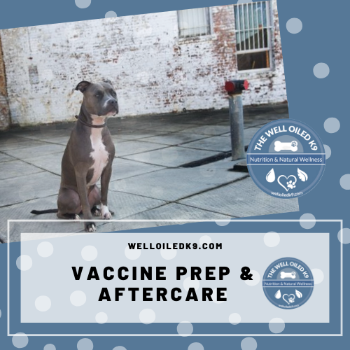 vaccine-prep-aftercare.png