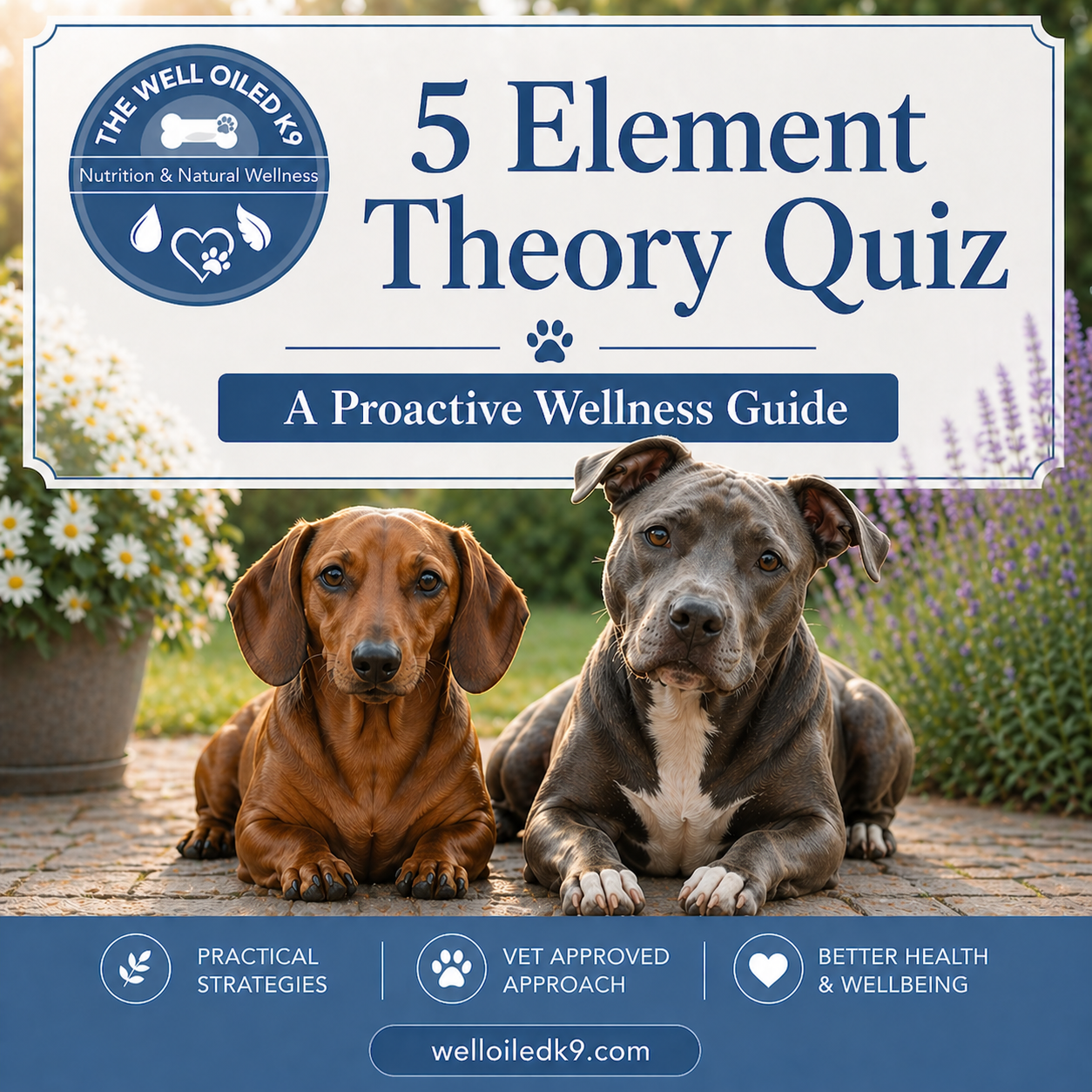 5 Element Theory Quiz
