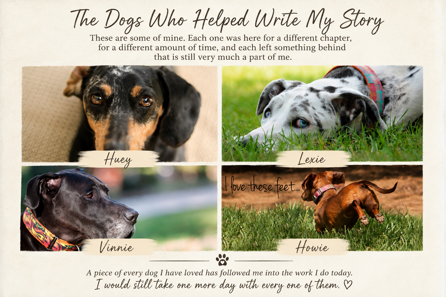 One More Day: When a Lifetime With Your Dog Is Never Long Enough
