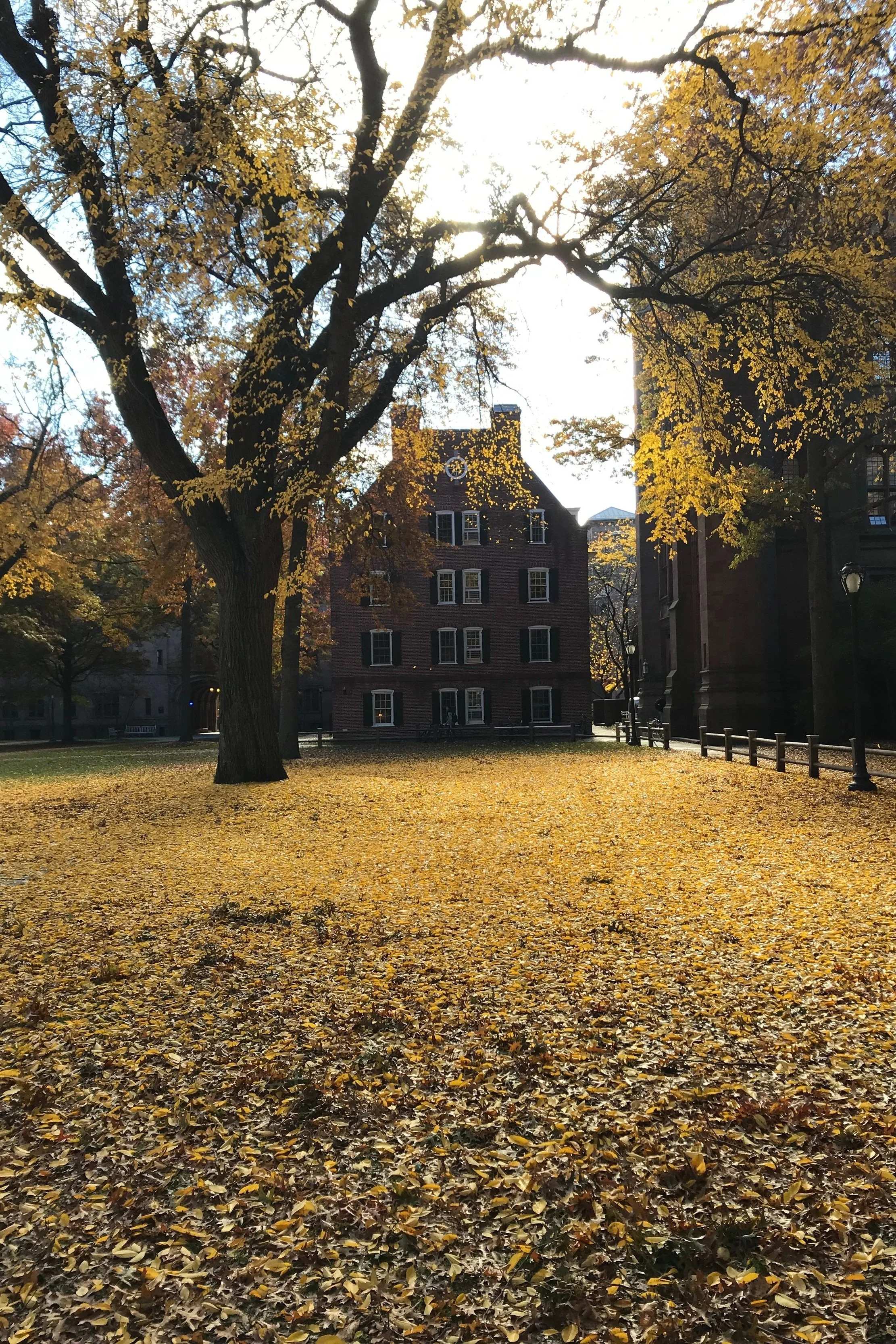 New Haven