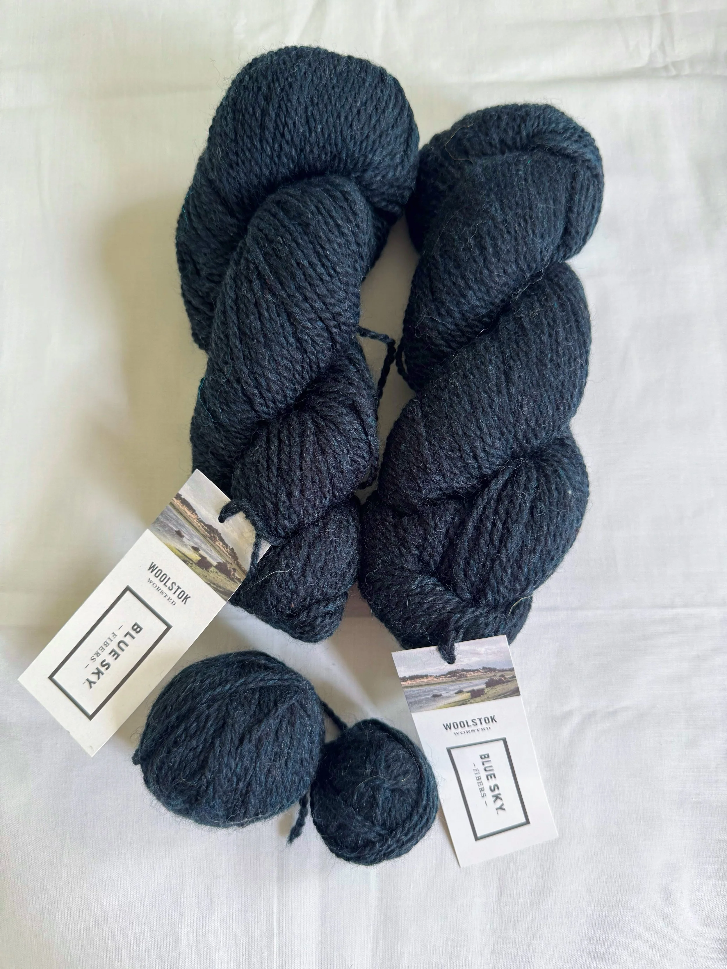 Lot #25 Woolstok by Blue Sky Fibers