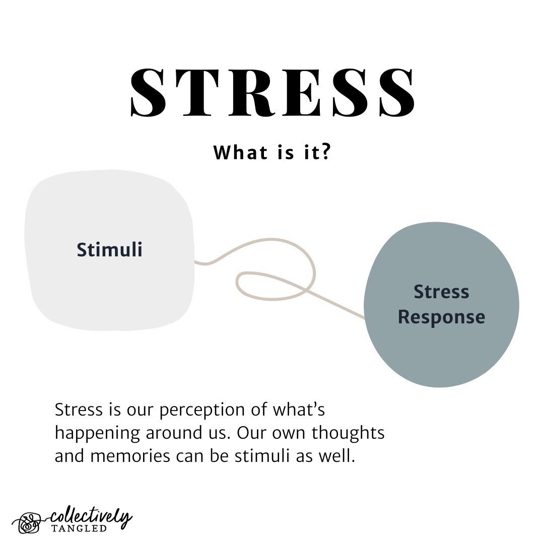 Fun fact: When we experience stress, we're actually experiencing a natural, physiological process! 🧠

When we encounter stimuli and experience a stress response, that's our body (and brain!) doing what it's supposed to do. But there are different ki