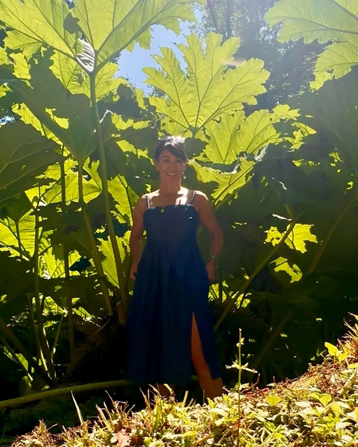 The month of July so far that have included visits to the most stunning gardens, period properties (with so much historical charm), and flowers in abundance 🌼 - Also making the most of the National Trust membership! 

So much inspiration for my brai