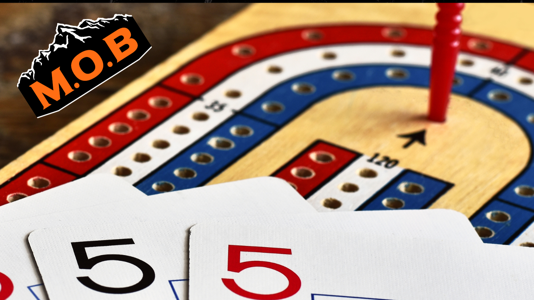 Cribbage for a cause