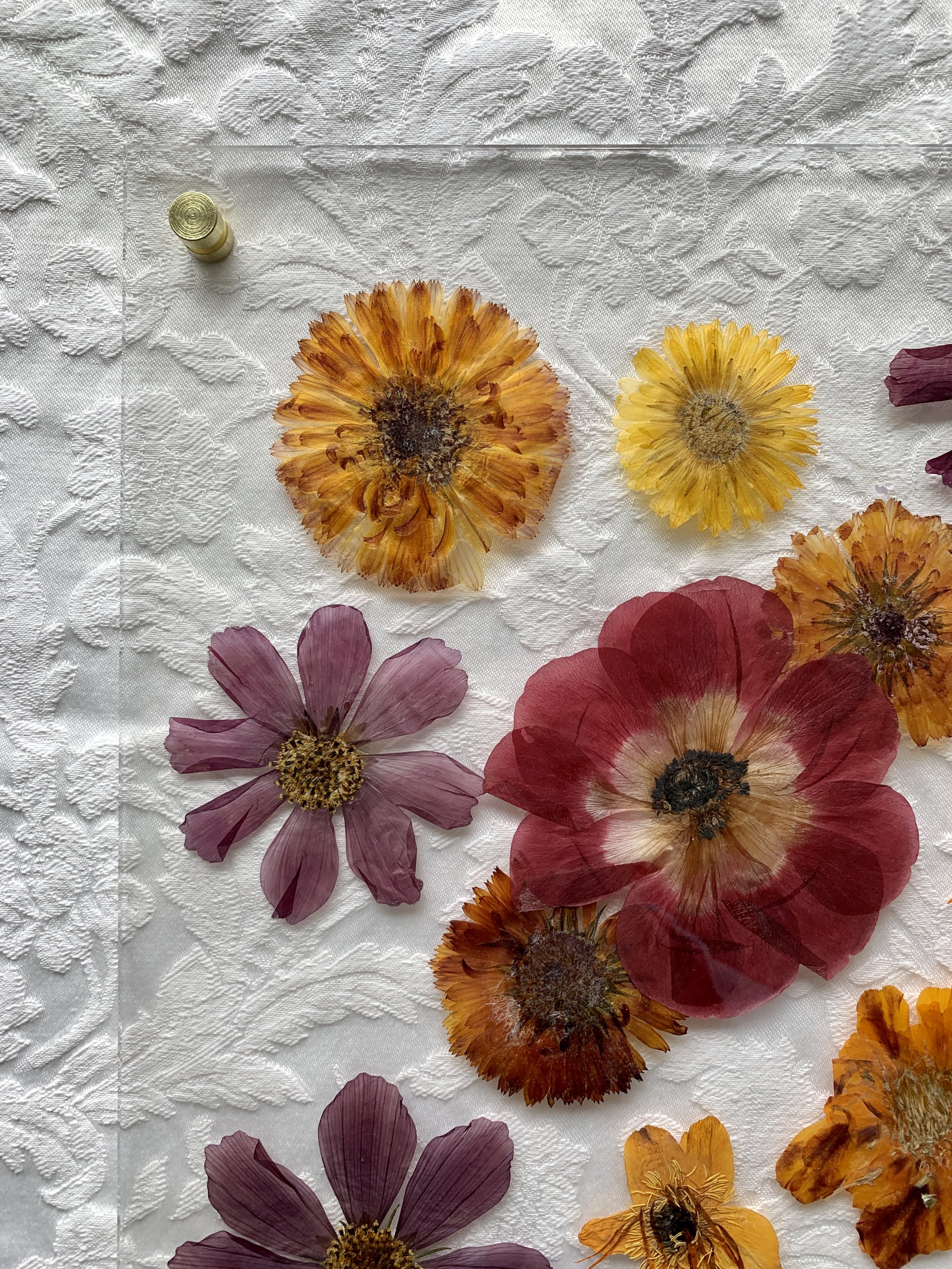 Travel Flower Press — Johanna Andersen Creative
