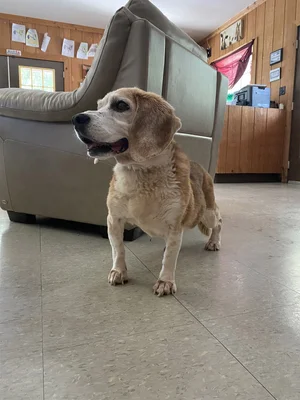Donate — Randy's Rescue Ranch