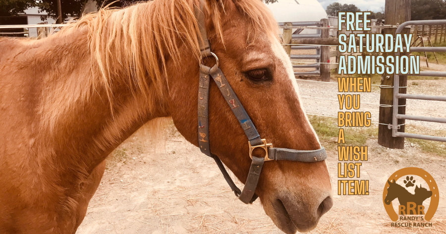 Randy's Rescue Ranch