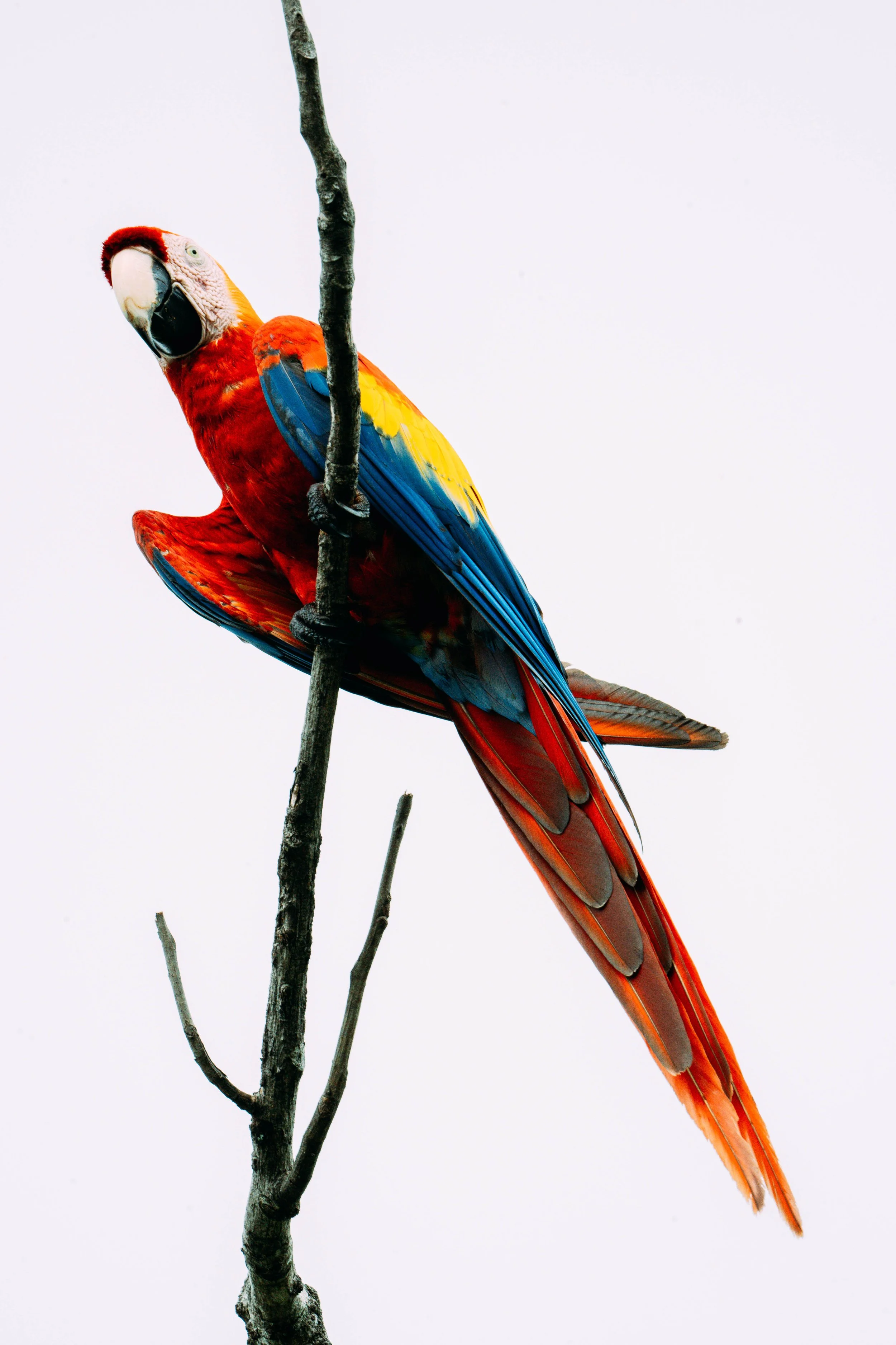 CR Photos (Batch 4)-297.jpg