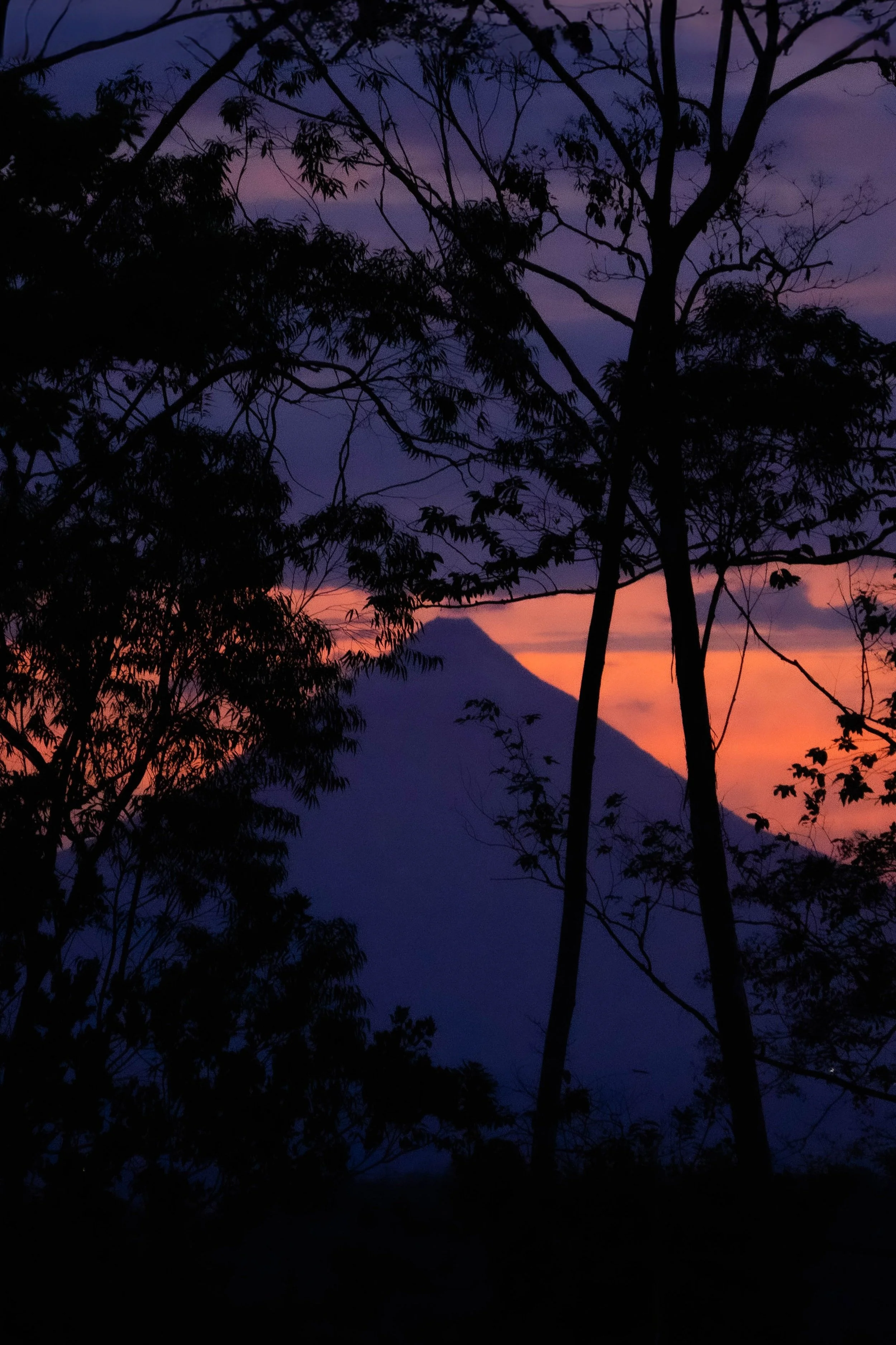 CR Photos (Batch 4)-62.jpg