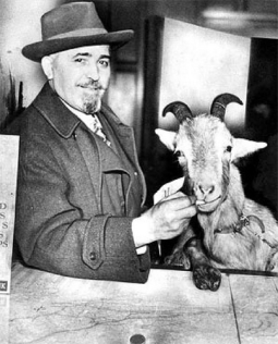 Curse of 'Murphy' the Billy Goat.png