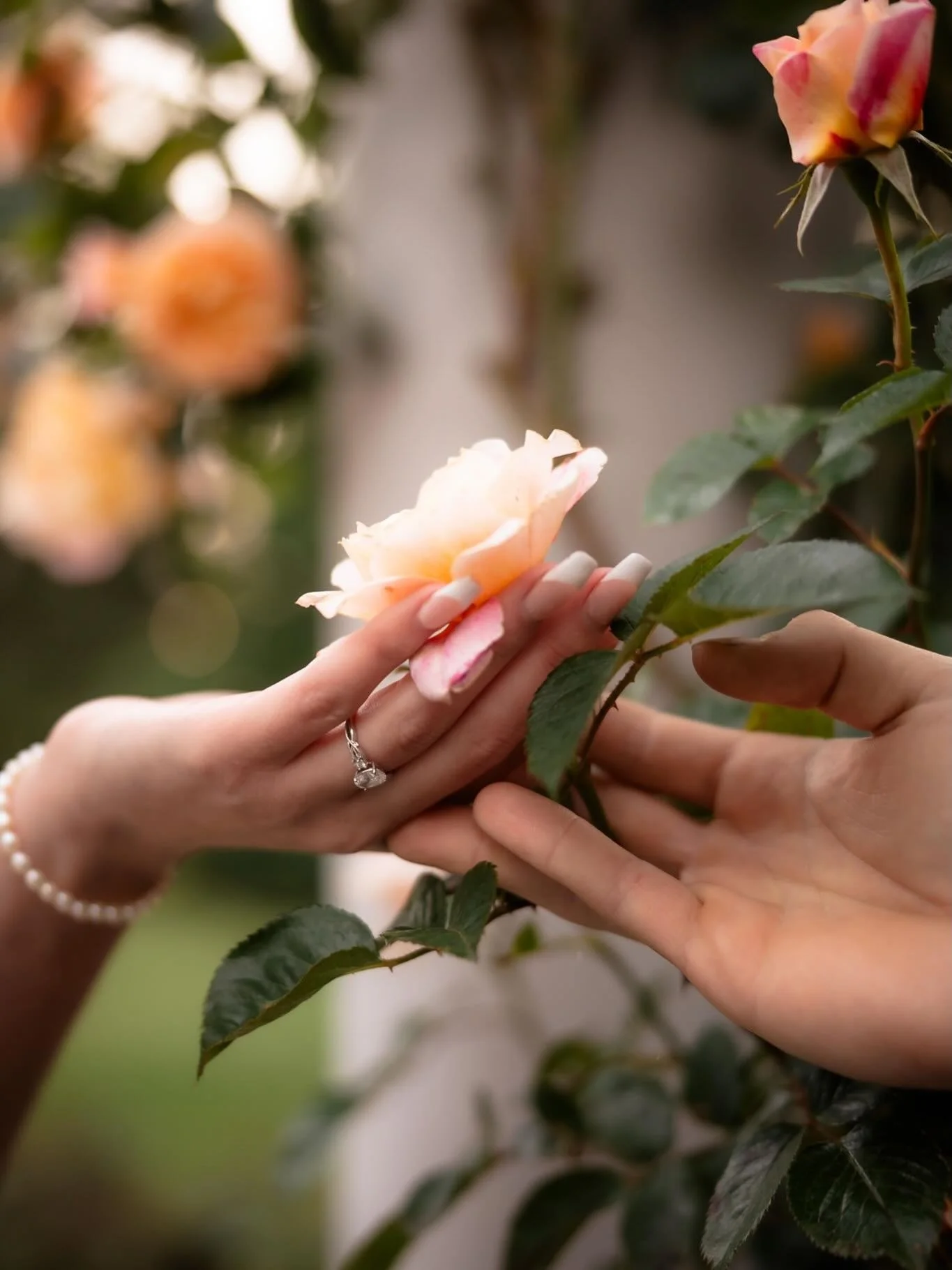 Needless to say- this session was such a FREAM! From the botanicals, to the fairytale whimsy, to the beautiful love story of Madison &amp; David 💖🌿💐

I&rsquo;ve been experimenting more with intentional, artsy, and blurred portraits. What are your 