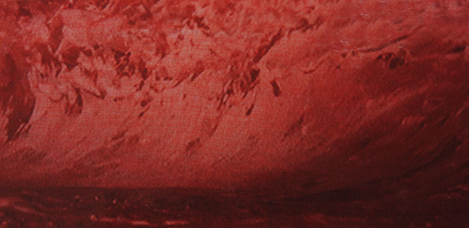 De la série Naufrage sans spectateur 2019 

 .a.1 KulturDialog/Cycle n° 3 KulturRaum, Arlesheim, Suisse  

Photographies impression jet d’encre, soieDifférentes dimensions, de : 8 à 60 cm  H                            20 à 82 cm L    

Photographie p