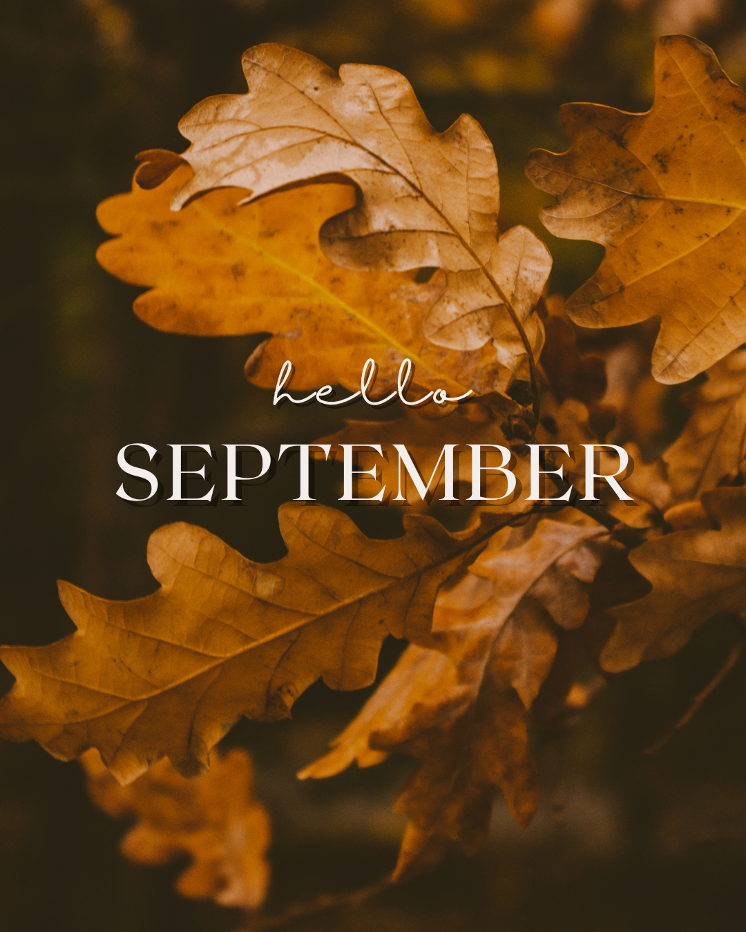 Hello September #3