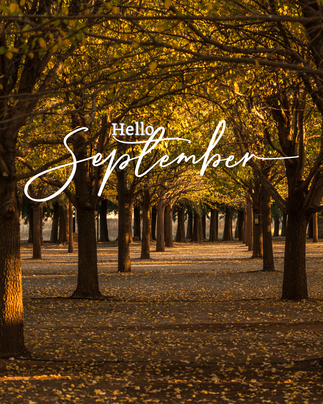 Hello September #6