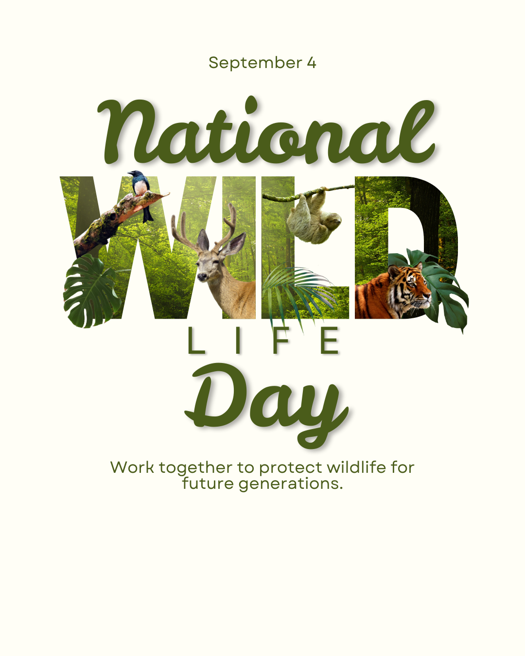 National Wildlife Day 9.4.25 #1