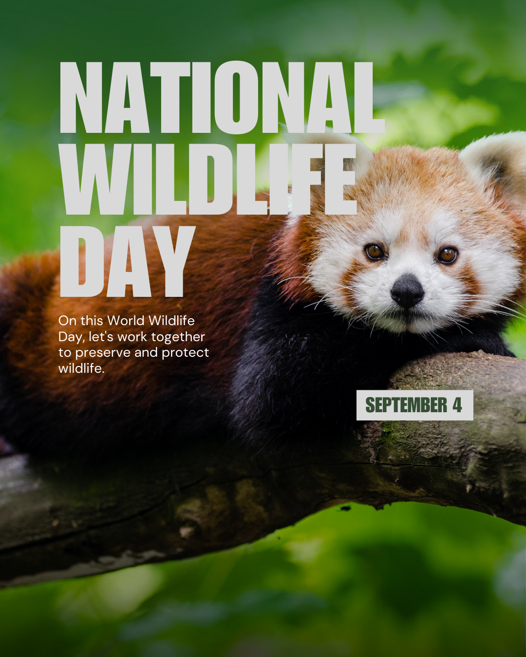National Wildlife Day 9.4.25 #2
