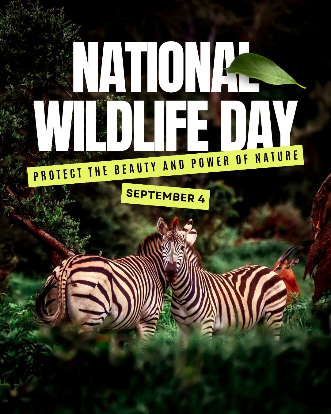 National Wildlife Day 9.4.25 #3