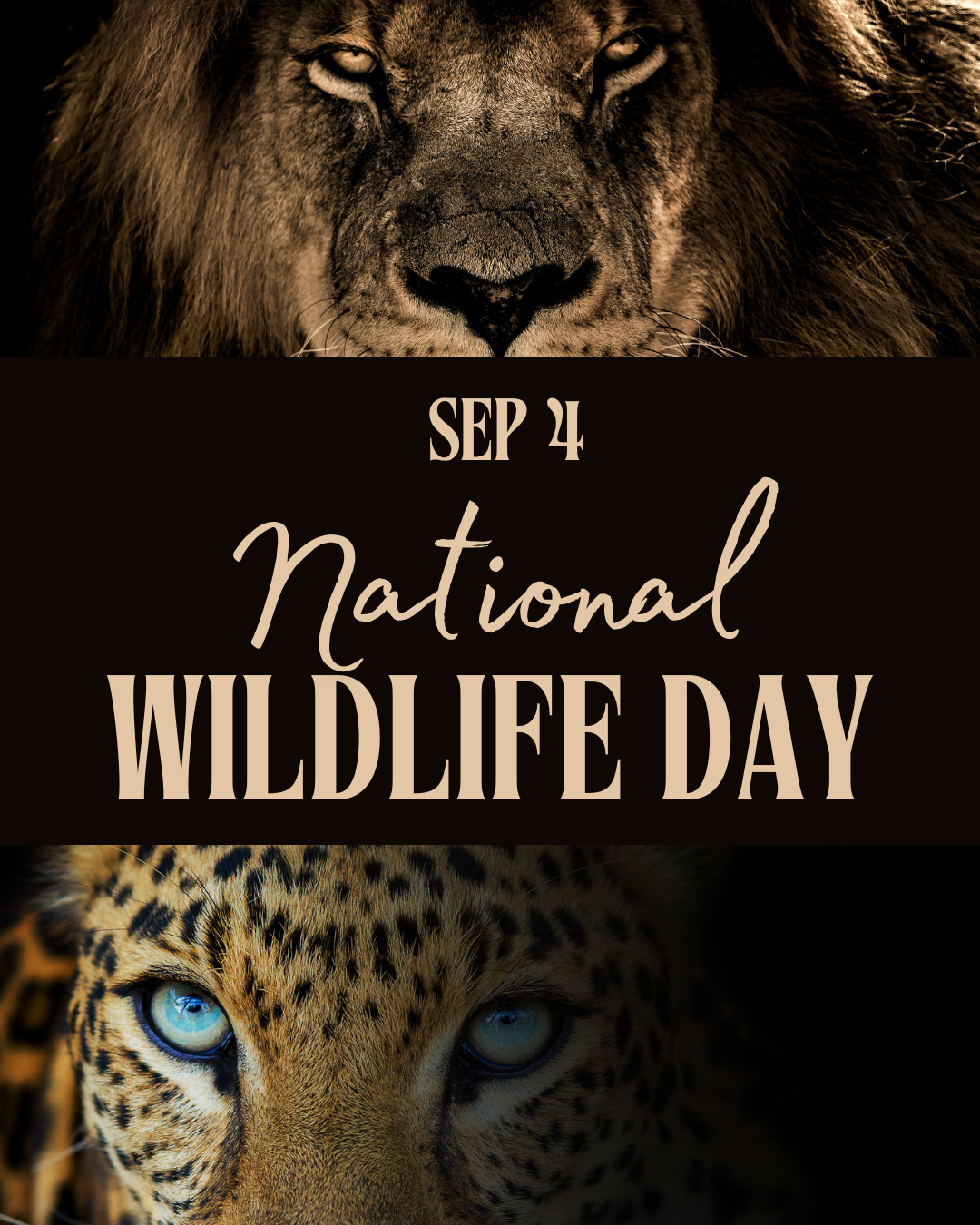 National Wildlife Day 9.4.25 #4