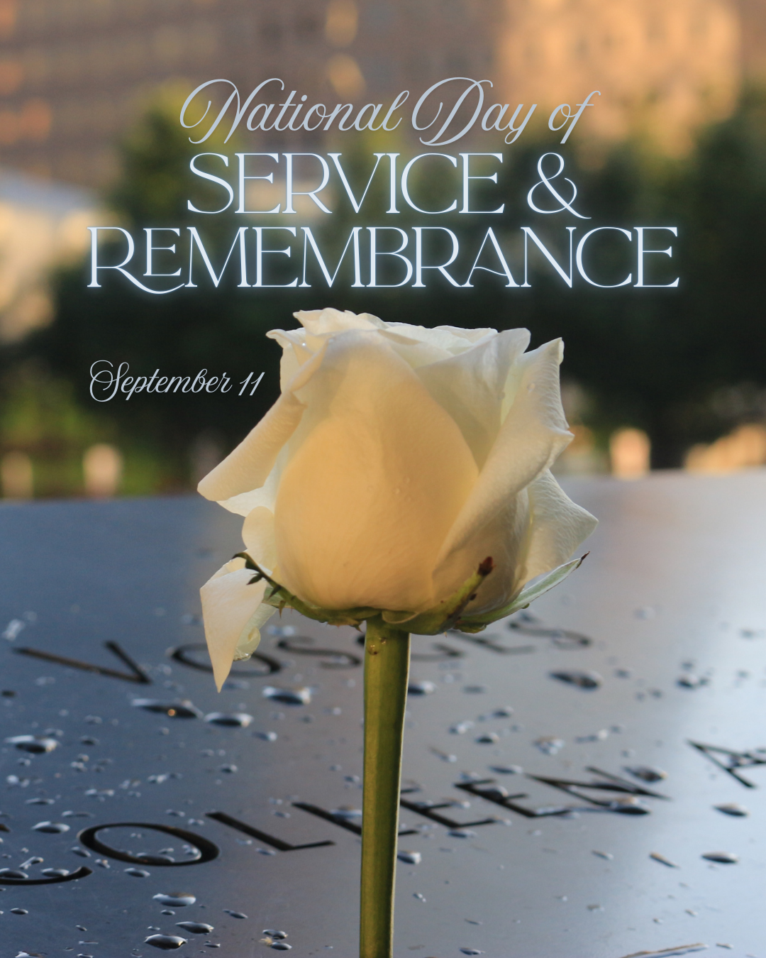 Nat'l Day of Service & Remembrance 9.11.25 #3
