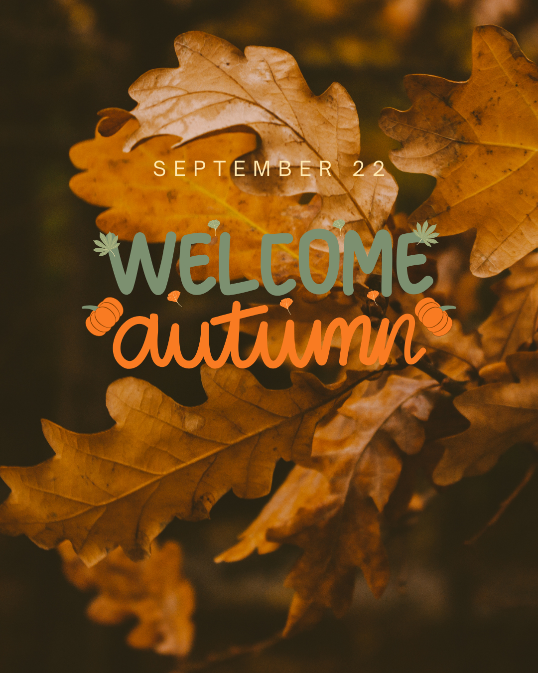 Welcome Autumn/Fall 9.22.25 #4