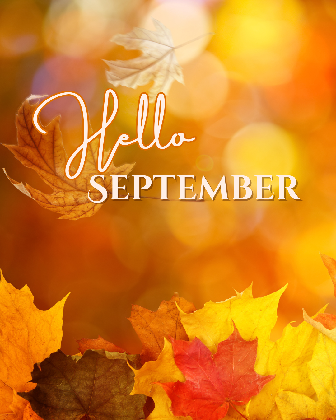 Hello September #1