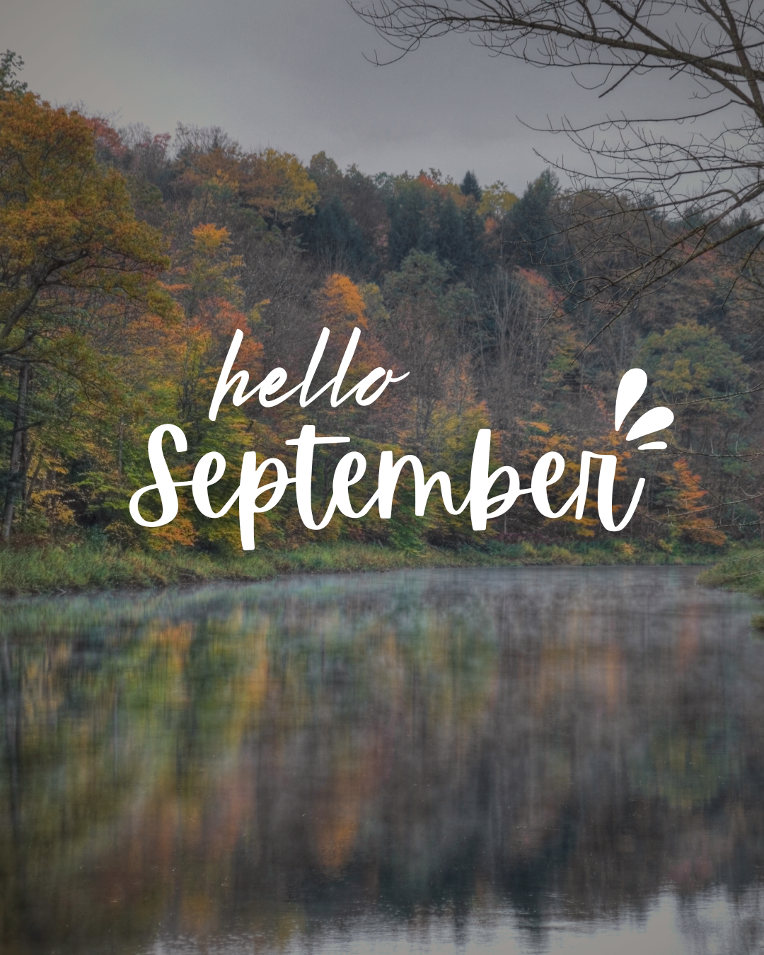 Hello September #7