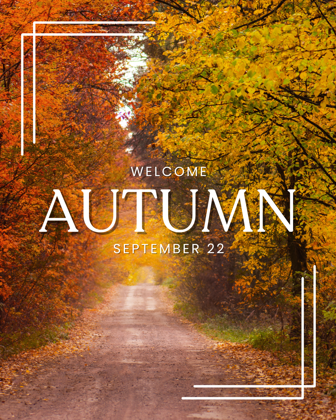 Welcome Autumn/Fall 9.22.25 #3
