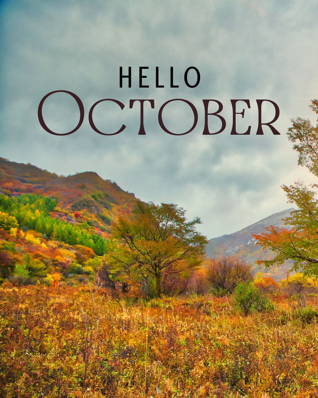 Hello October #4