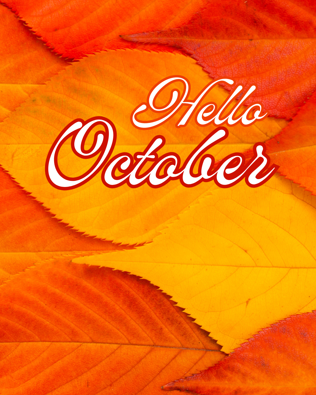 Hello October #5