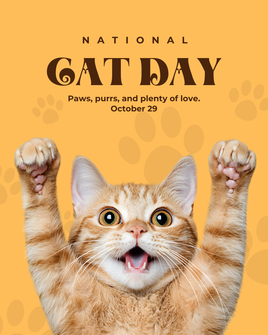 National Cat Day 10.29.25 #2