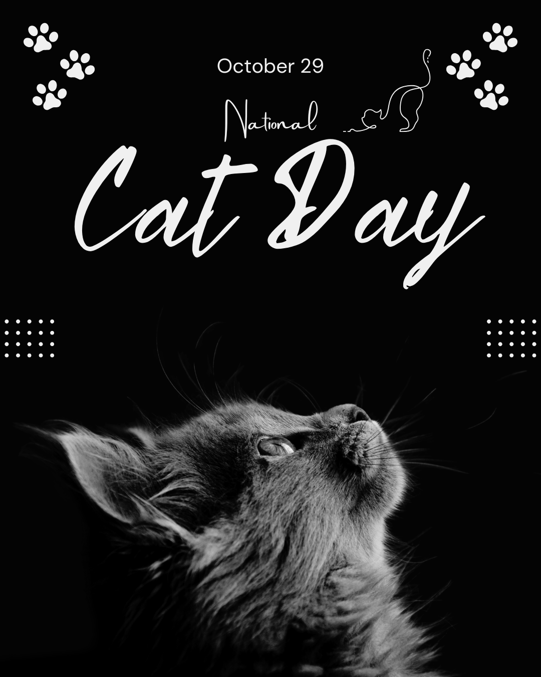 National Cat Day 10.29.25 #4