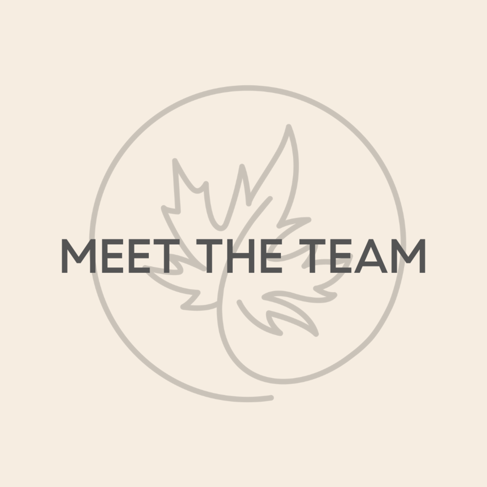 A graphic with a leaf outline and the text 'Meet the Team' over it.