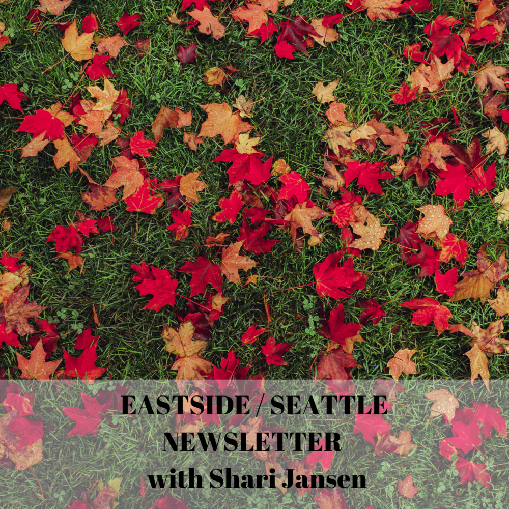 A photo of fallen red and orange autumn leaves on green grass. Overlaid on the image is black text that reads 'EASTSIDE/SEATTLE NEWSLETTER with Shari Jansen'.
