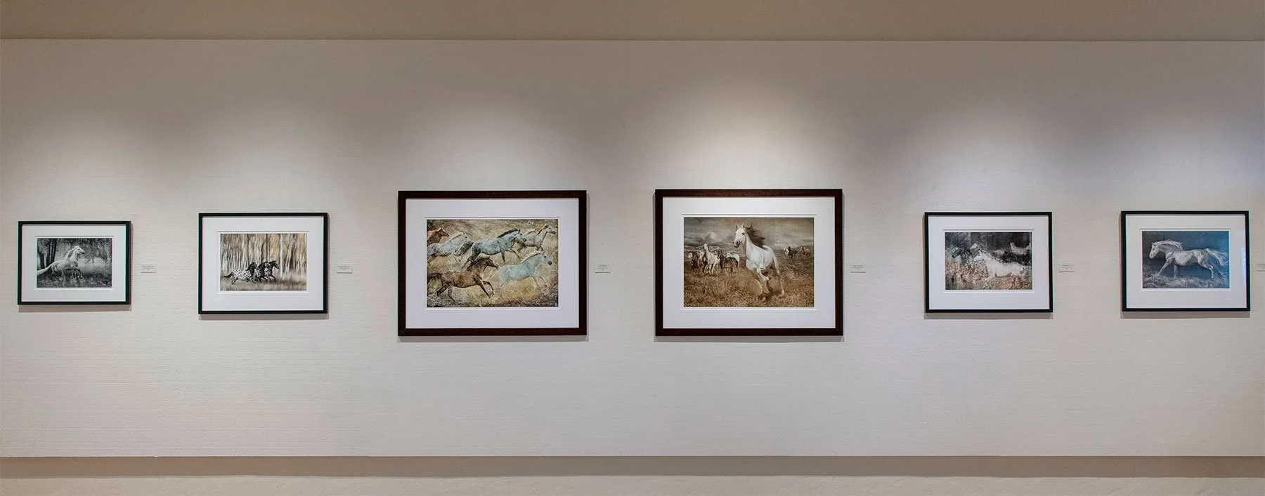 Mary-Aiu-Art-Show-4.jpg