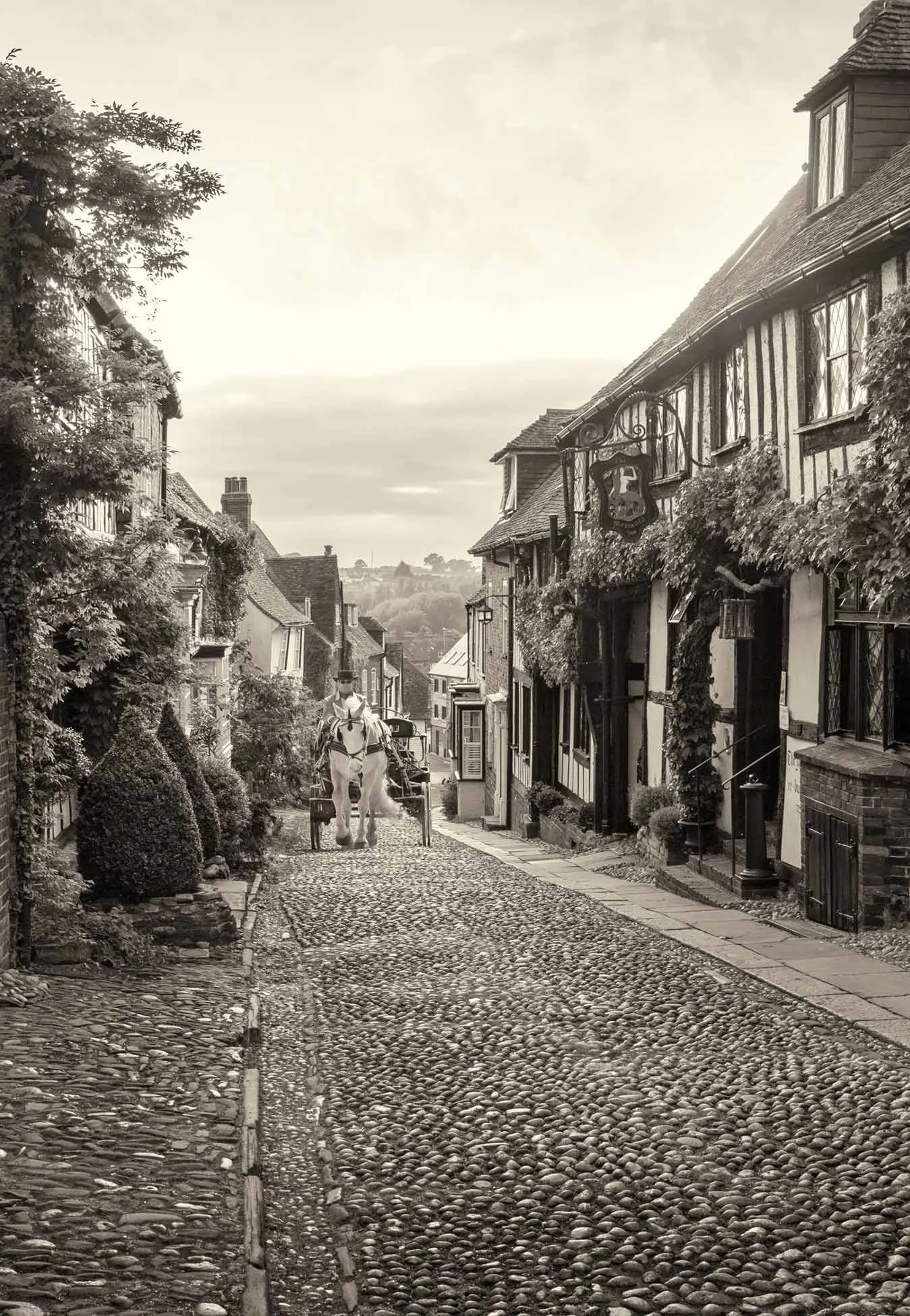 Along for the Ride; Mermaid Street