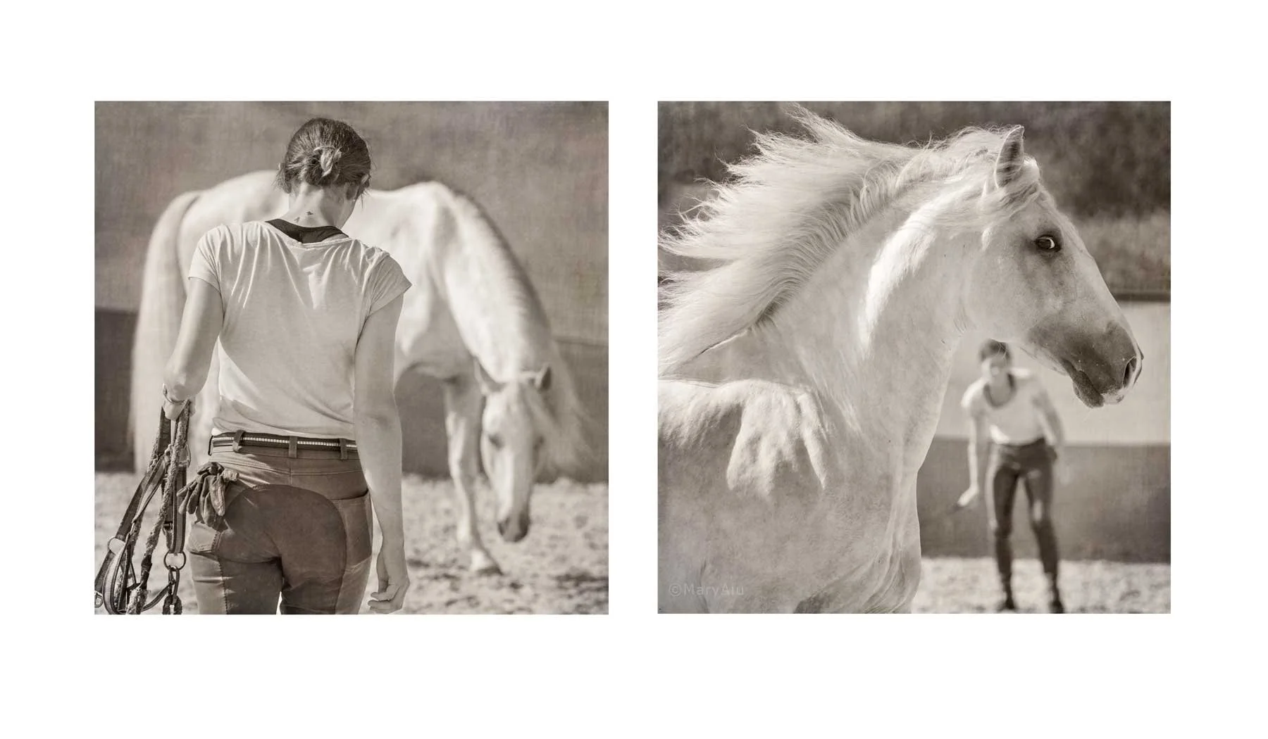 Girl with Horse-Diptych