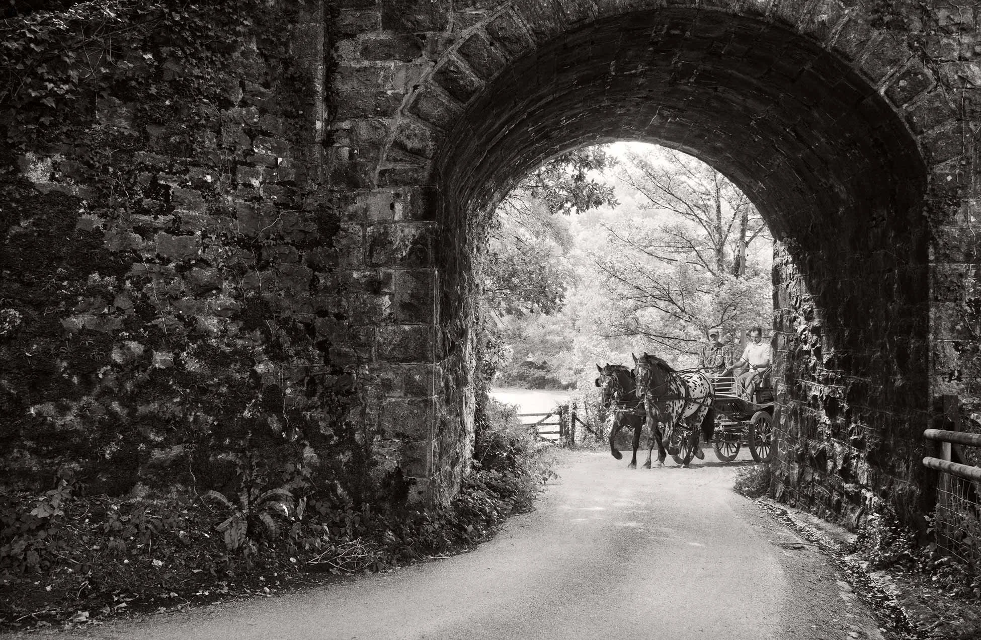 Along for the Ride; Lustleigh Village
