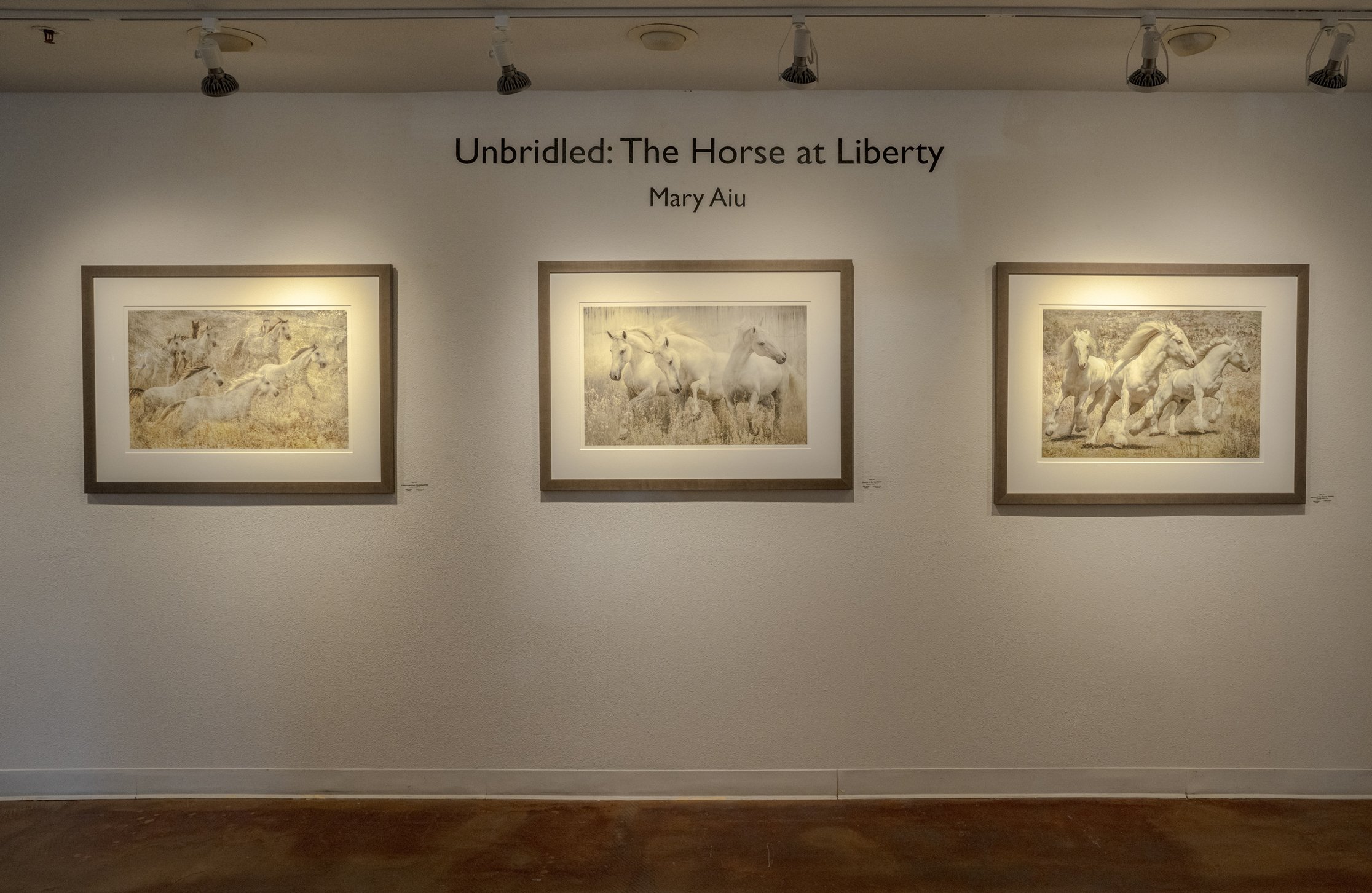 Viewpoint Photographic Art Center