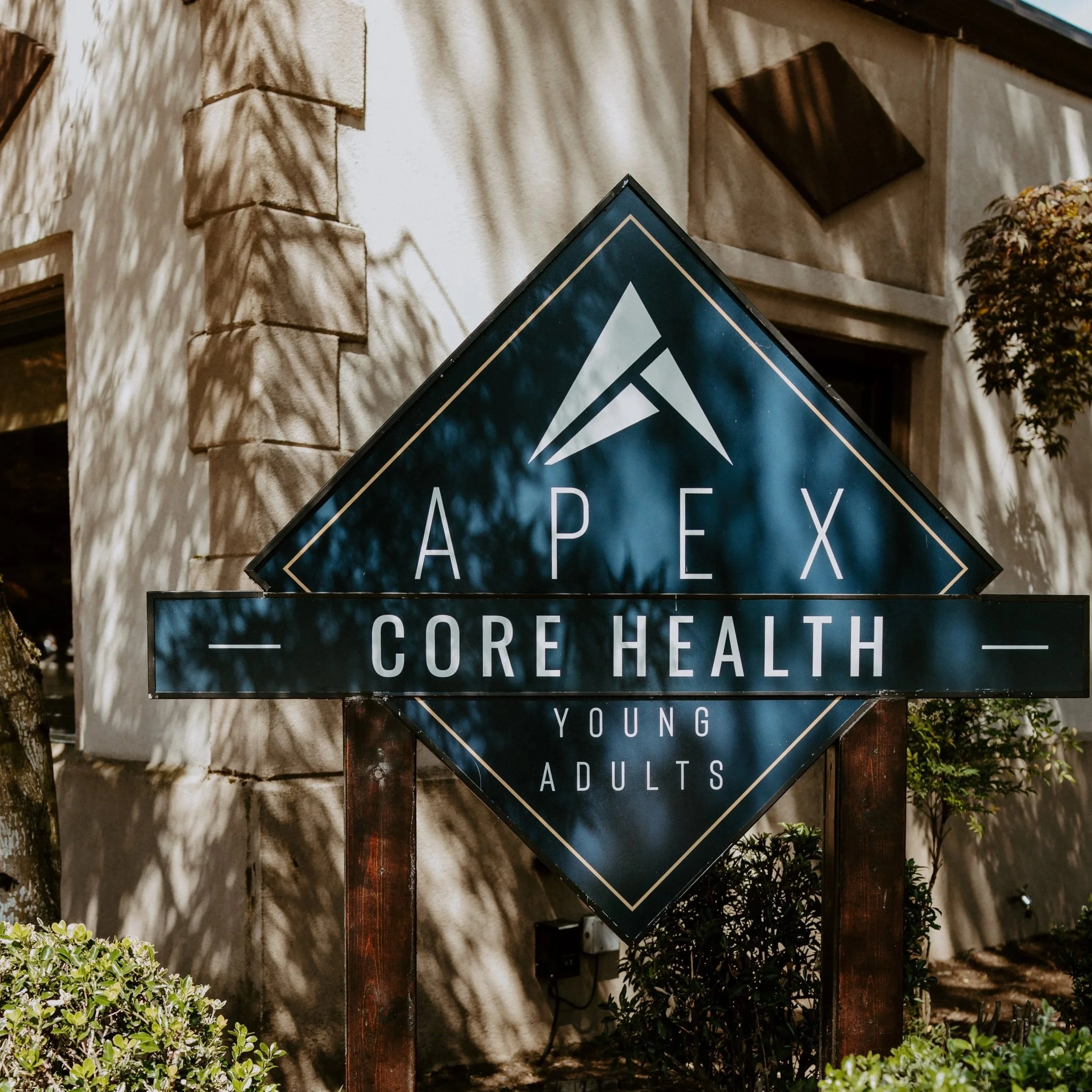APEX