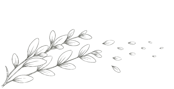 therapy and life coaching for women who are feeling like they're losing themselves - flower petals dispersing and disappearing