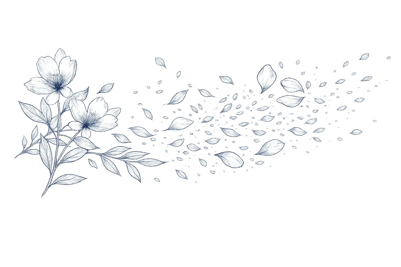 therapy for women who are feeling like they're losing themselves - flower petals dispersing and disappearing