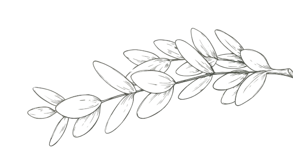 counseling for women in las vegas, overwhelmed moms, amxiety therapy, relationship counseling for women ( individual )