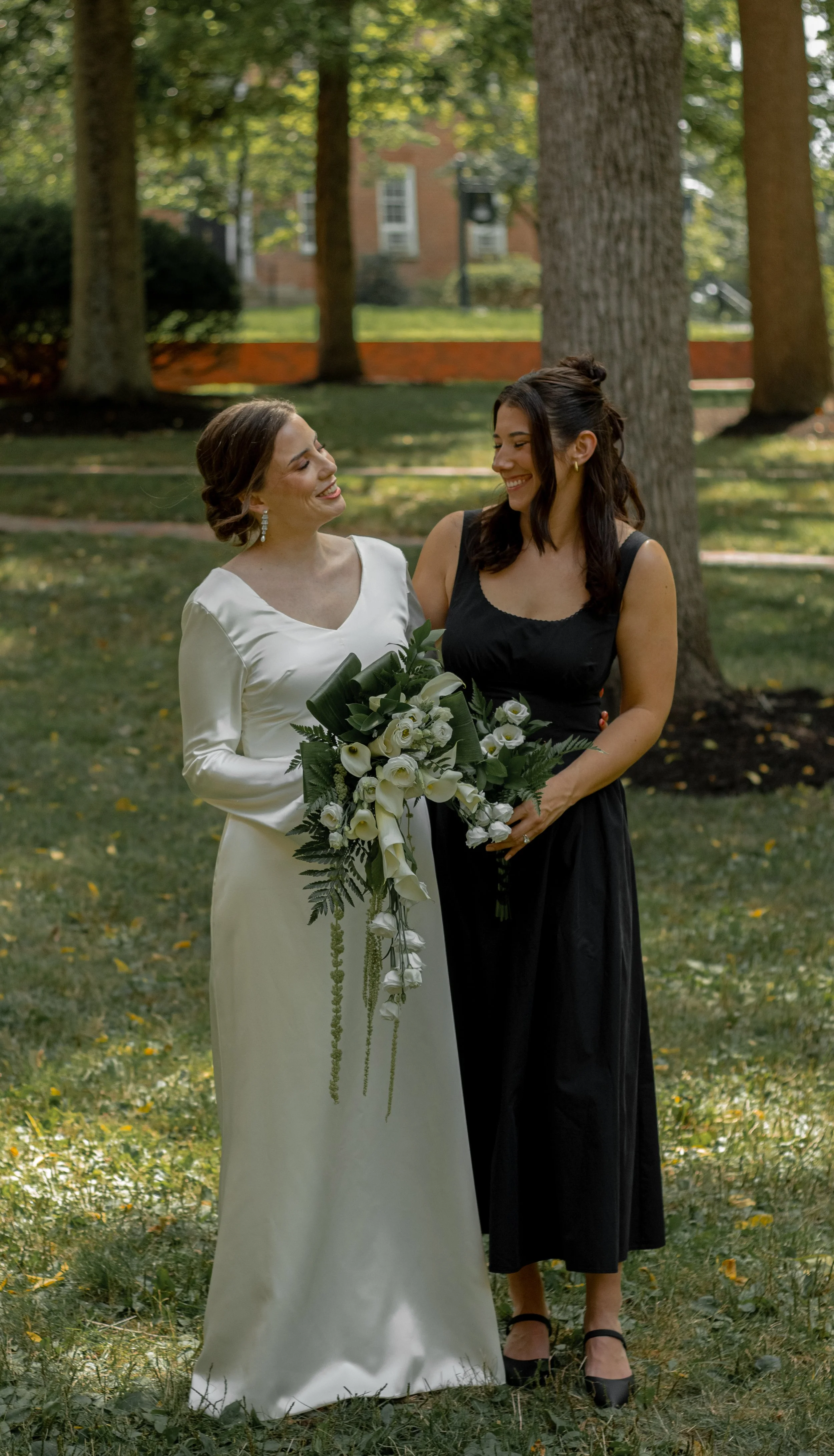 Havels-D-141.jpg
