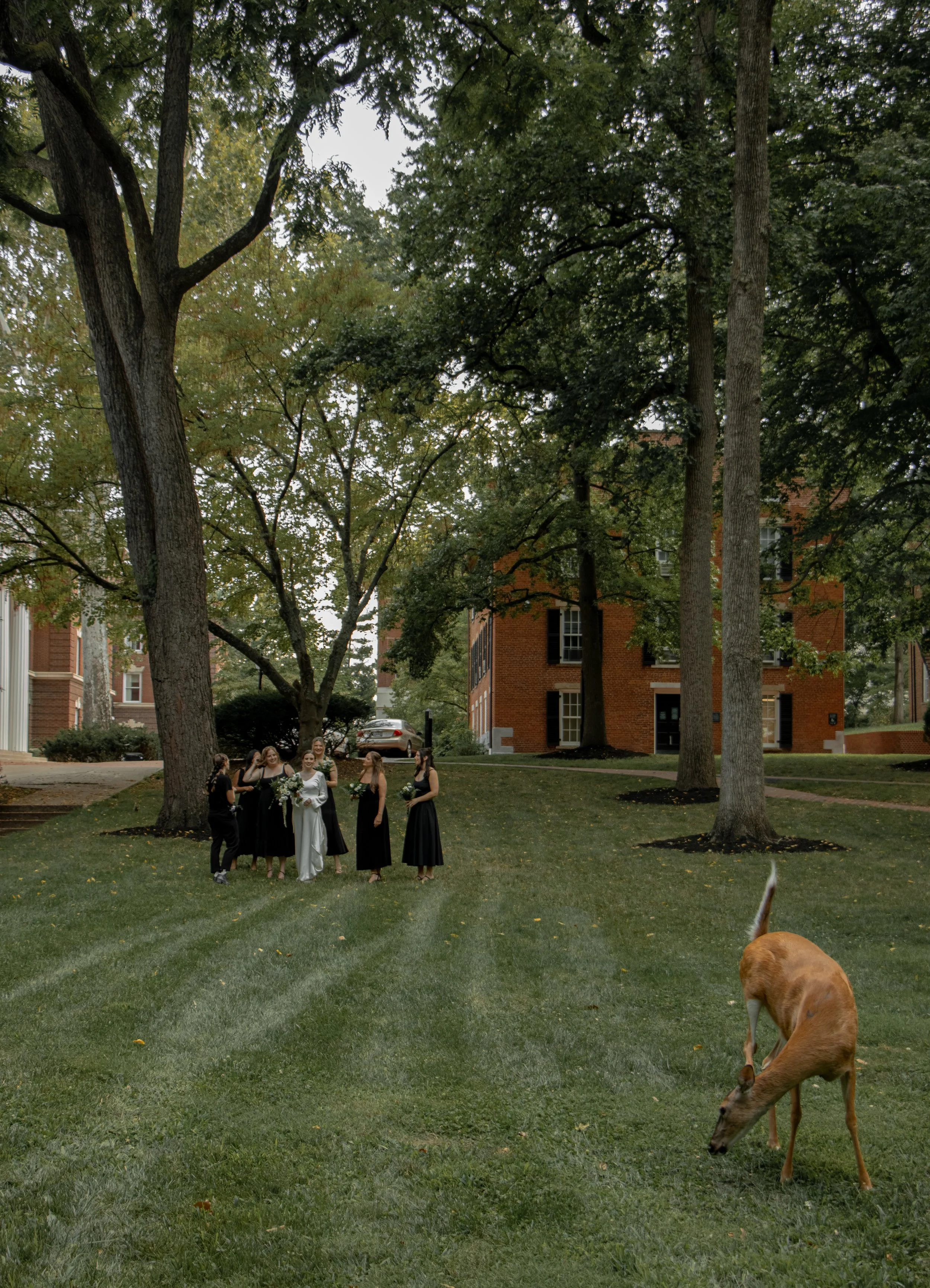 Havels-D-322.jpg